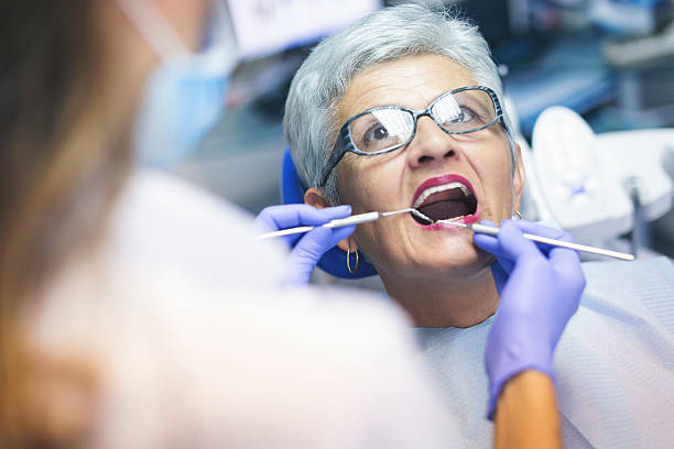 Professional Holistic Dental Care Services in Edinburg, IL